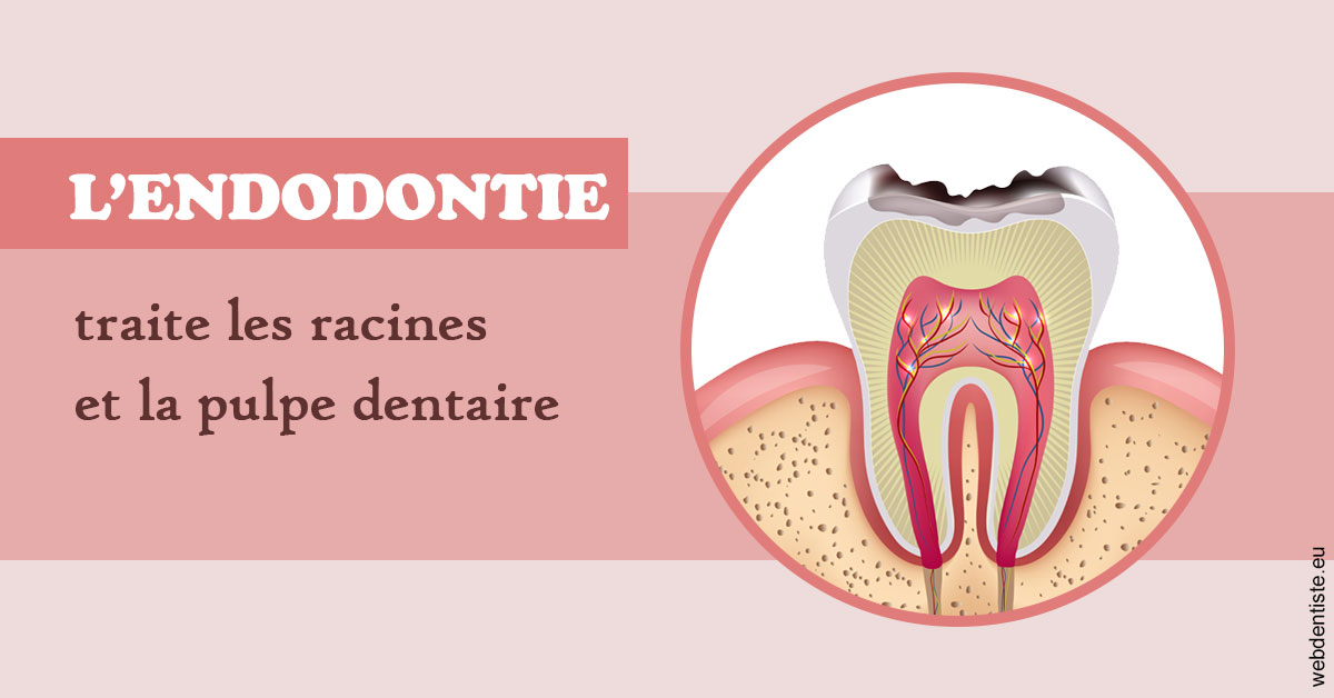 https://dr-bruno-casari.chirurgiens-dentistes.fr/L'endodontie 2