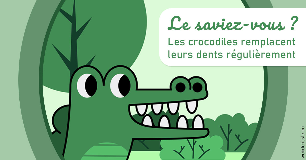 https://dr-bruno-casari.chirurgiens-dentistes.fr/Crocodiles 2