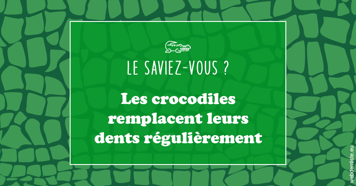 https://dr-bruno-casari.chirurgiens-dentistes.fr/Crocodiles 1